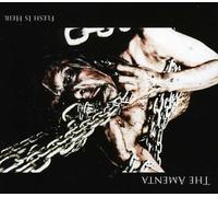 The Amenta - Flesh Is Heir