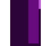 The Amethyst Journal: An Elegant Hardcover Notebook: A 120-Page Lined Diary on Premium Cream Paper for Creative Writing and Personal Reflection