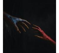 The Amnesia - The Light Between Me and the Void