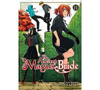 The Ancient Magus' Bride Vol. 11: not all history can be gleaned from books (the ancient magus bride, 11)
