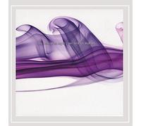 The Animals at Night - Rain Falls on Asphalt