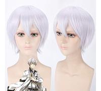 The Animation Shimotsuki Shun Cosplay Pelucas 40cm Corto Rizado Plateado para Hombre Niño Anime Universal Resistente al calor Pelo sintético Wi