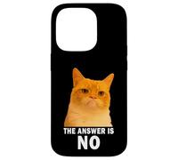 The Answer is No Funny Grumpy Orange Cat Meme Weird Cat Face Carcasa para iPhone 14 Pro