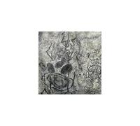 The Anteroom Double Vinyle 180 gr Gatefold Inclus coupon MP3 et un livret de 4 pages
