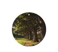 The Antiquity of Yew - Juego de 4 tarjetas aromáticas para colgar en el armario, baño, ambientadores de coche, de larga duración