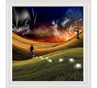 The Apocaloptimist by james lee stanley