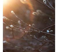 The Aries Project - English Ghosts [Vinilo]