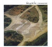The Armoury Show - Waiting For The Floods
