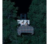 The Army, The Navy - Fake Brave Life [Vinilo]