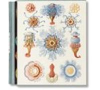 The Art and Science of Ernst Haeckel
