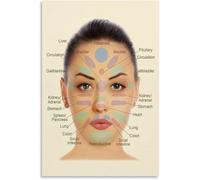The Art and Science of Facial Pressure Point Map Poster Canvas Art Print for Studio or Creative Atelier(Unframed,12x18inch(30x45cm))
