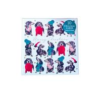 The Art File Caja de tarjetas de Navidad Party Frank Sausage Dog (10 tarjetas, 2 diseños, 13,5 x 13,5 cm)