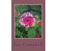 The Art of Beholding: How to reclaim your life from the hazards of Light-speed Living