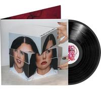 THE ART OF BEING A MESS - Vinilo