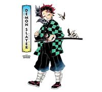 El arte de Demon Slayer: Kimetsu no Yaiba – Viz Media