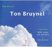The Art of Ton Bruyn L [Italia] [DVD]