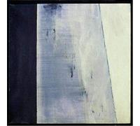 The Asteroids - Moonlight Music for Beginnings [Vinilo]