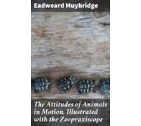 The Attitudes Of Animals In Motion Illustrated With The Zoopraxiscope