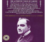 The Authentic Voice of.....