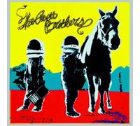The Avett Brothers True Sadness (Vinyl) 12" Album (Importación USA)