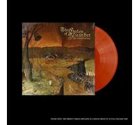 The Awakening [Vinilo]