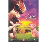 The Babe