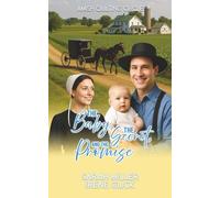 The Baby, the Secret, and the Promise (The Amish Quilting Circle)
