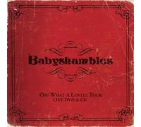 The Babyshambles - Oh What A Lovely Tour