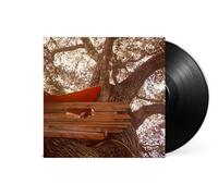 The Backseat Lovers Waiting to Spill (Vinyl) 12" Album