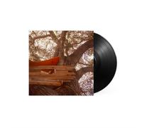 The Backseat Lovers Waiting to Spill (Vinyl) 12" Album