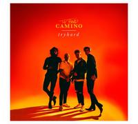 The Band CAMINO Tryhard Opaque (Vinyl) (Importación USA)