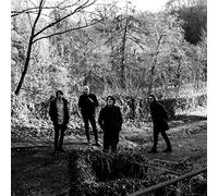 The Be Positives - Everything About