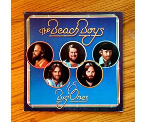 The Beach Boys - 15 Big Ones