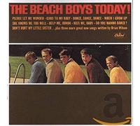 The Beach Boys - summer days and summer nights/beach boys today