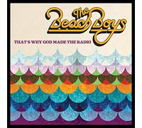 The Beach Boys - that's why god made the radio [Vinilo]