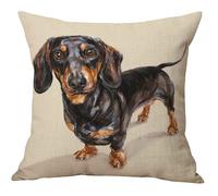 The Beach Stop Funda de cojín decorativa aterciopelada suave para perro salchicha de Dapple para cachorro, amantes de los animales, mujeres, 18x18 pulgadas, retrato de perro salchicha