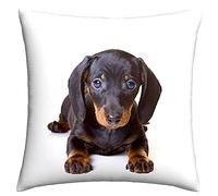 The Beach Stop Funda de cojín decorativa con diseño de perro salchicha | Idea de regalo para decoración del hogar | 45 x 45 cm | cachorro salchicha