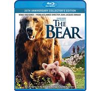 The Bear