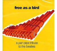 The Beatles - Free As A Bird - A Pan Pipe Tribute To The Beatles