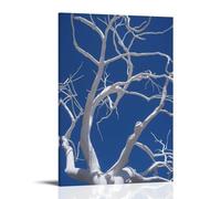 The Beauty of White Dead Tree Lines - Impresión artística para pared (40 x 60 cm)
