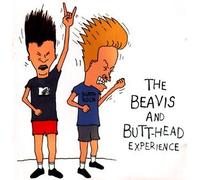 The Beavis and Butt-Head Experience