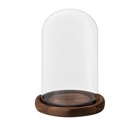 The Bell Jar Campana De Vidrio Con Base De Madera Rústica, 30x18 Cm, Cúpula De Vidrio Decorativa Transparente, Decoración De Cúpula De Flores, Mejora La Belleza De La Exhibición, Para Plantas, Curiosi