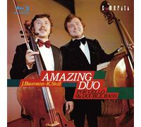 The Berlin Philharmonic Duo - Amazing Duo
