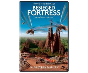 The Besieged Fortress by Weinstein Company by Philippe Calderon