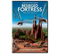 The Besieged Fortress [Reino Unido] [DVD]
