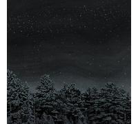 The Besnard Lakes - The Besnard Lakes Are The Prayers For The Death Of Fame [VINYL] [Vinilo]