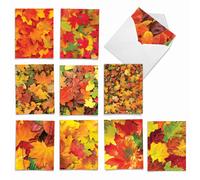 The Best Card Company: 10 hermosas tarjetas de notas en blanco (4 x 5,12 pulgadas)