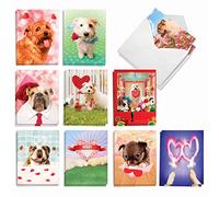 The Best Card Company - 20 tarjetas de perro en caja con sobres (4 x 5.12 pulgadas) - Surtido en blanco (10 diseños, 2 de cada uno) - Loving Puppies AM3188OCB-B2x10