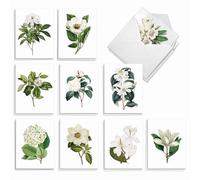 The Best Card Company AM2818OCB-B2x10 AM2818OCB-Blooms - 20 tarjetas de notas en caja surtidos para todas las ocasiones con sobres