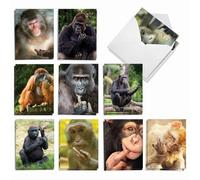 The Best Card Company, Flipping Monkey AM9516OCB-B2x10 - Juego de 20 tarjetas para todas las ocasiones